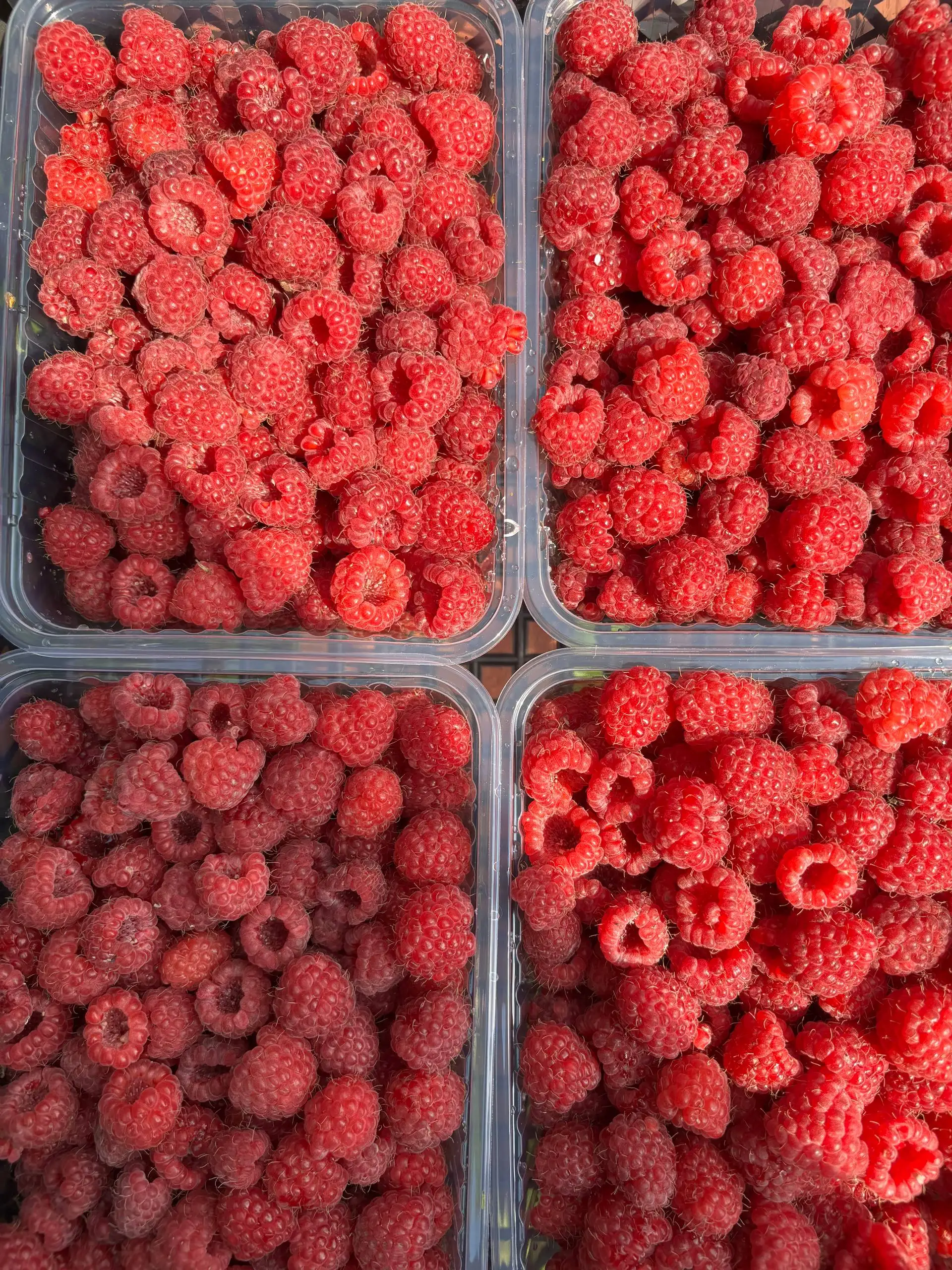 Горномарийская малина - Продукты питания (Барахолка) в Чебоксары
