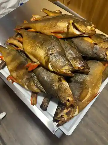 Окунь копченый - Хобби и отдых в Чебоксары