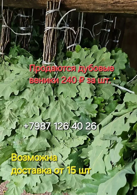 Продажа дубовых веников и липового меда - Хобби и отдых в Чебоксары