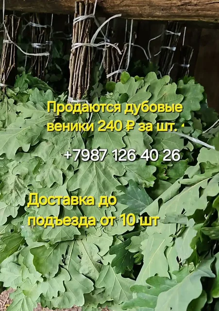 Продажа дубовых веников и липового мёда - Хобби и отдых в Чебоксары