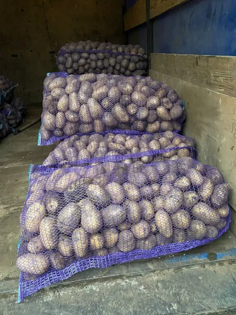 Продажа картофеля сортов Галла и Королева Анна - Запчасти для электроники в Чебоксары