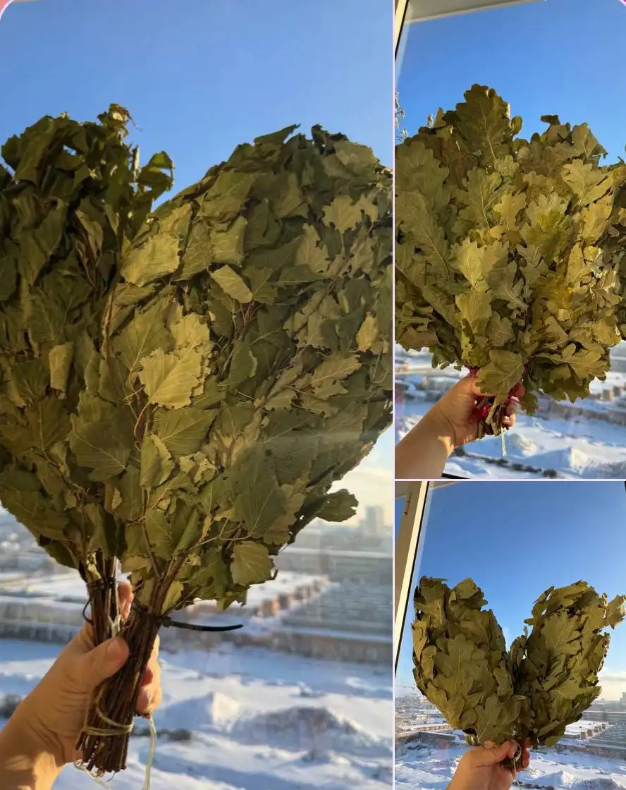 Продажа банных веников собственного изготовления - Банные принадлежности (Хобби и отдых) в Чебоксары