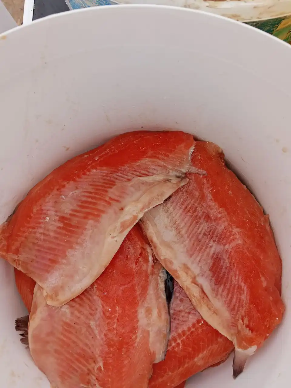 Продажа свежемороженой и слабосоленой форели - Барахолка в Чебоксары
