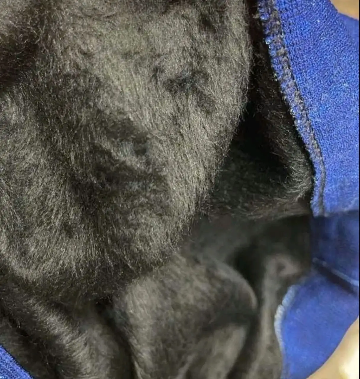 Лосины утепленные под джинсу - Лосины (Одежда) в Чебоксары