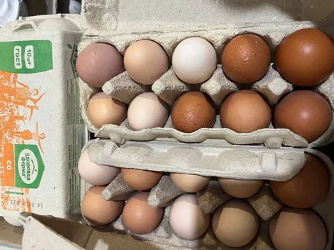 Домашние яйца 10 штук - Интерьер в Чебоксары