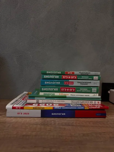 Учебные материалы для подготовки к ОГЭ и ЕГЭ - Одежда и игрушки в Чебоксары