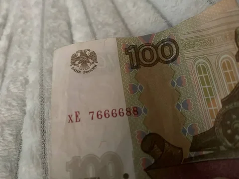 Сотка настоящая с красивым номером - Термо сумки в Чебоксары