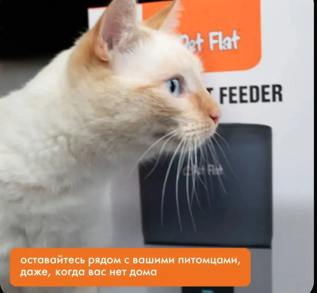 Автоматическая кормушка для животных - Товары для животных (Барахолка) в Чебоксары