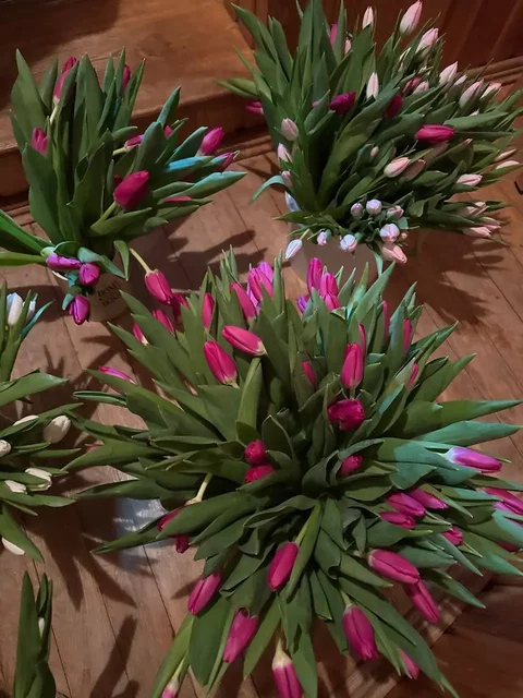 Продажа цветов оптом в Чебоксарах - Парфюмерия в Чебоксары