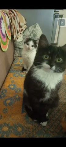 В добрые руки - Парфюмерия в Чебоксары