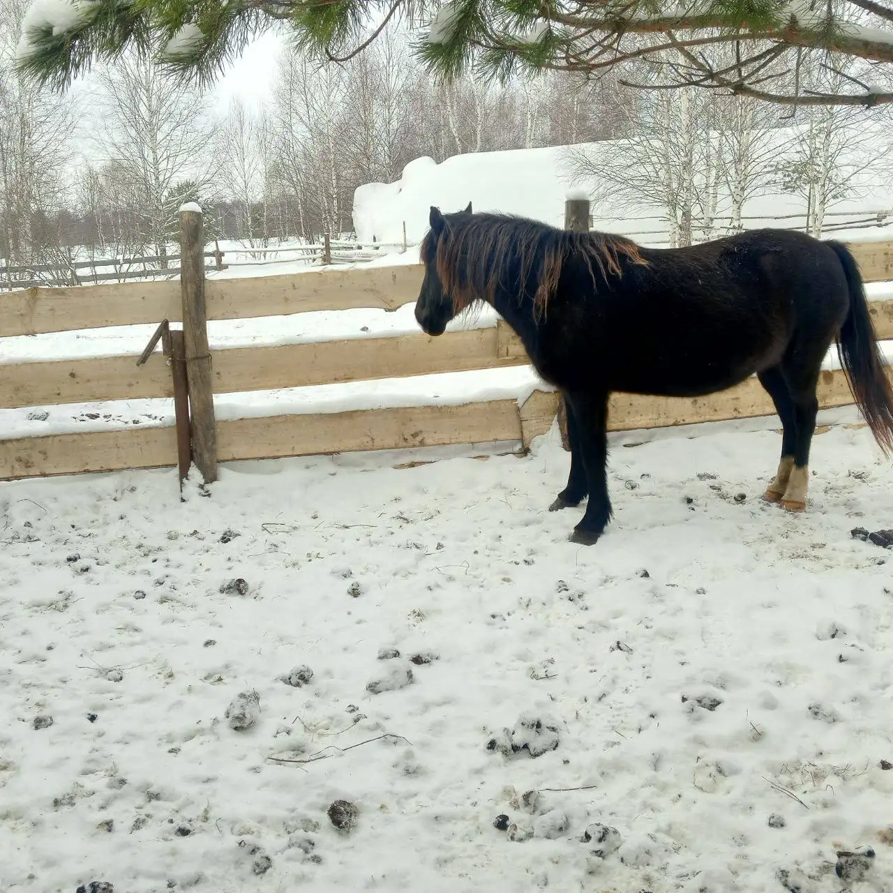 Продам в Уфе - Барахолка в Уфа