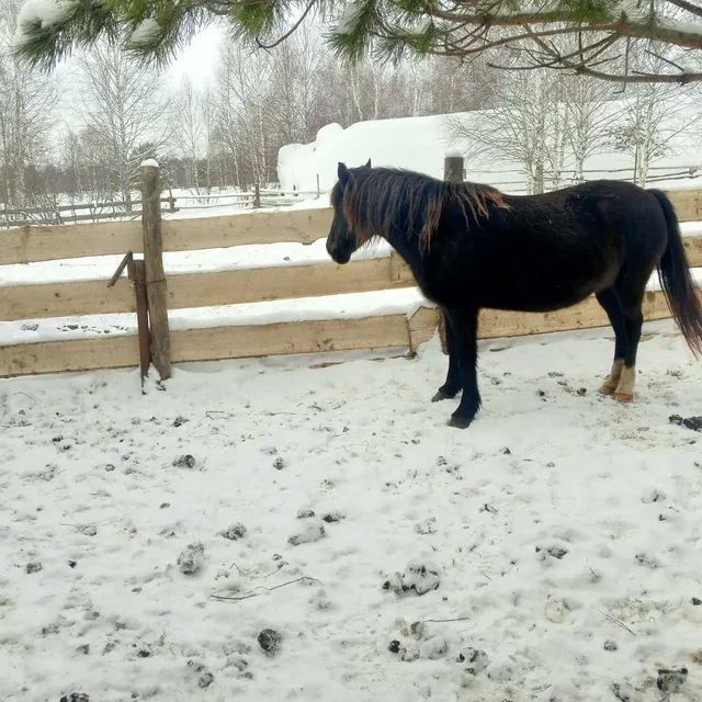 Продам в Уфе - частное объявление в Уфа