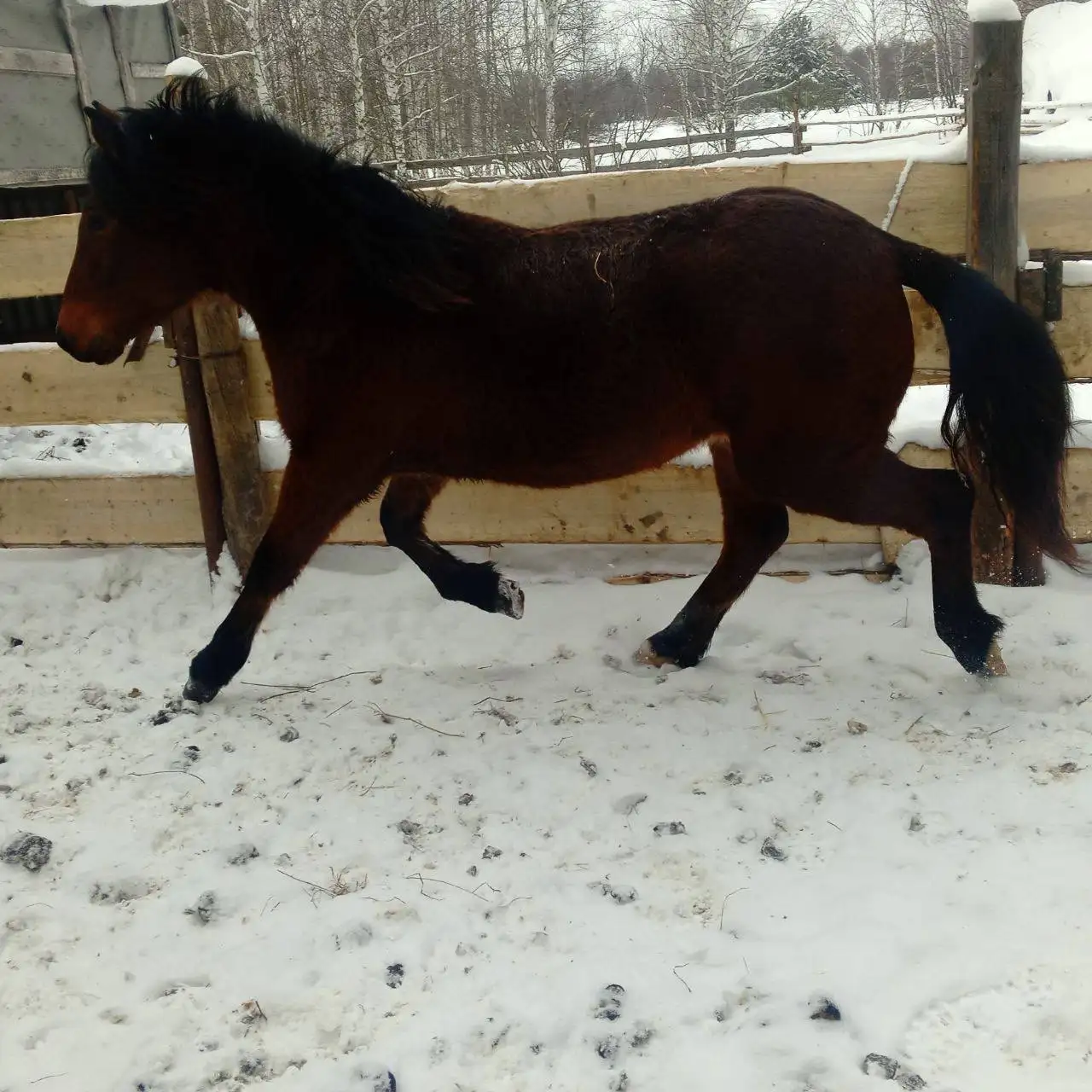 Продам в Уфе - Барахолка в Уфа