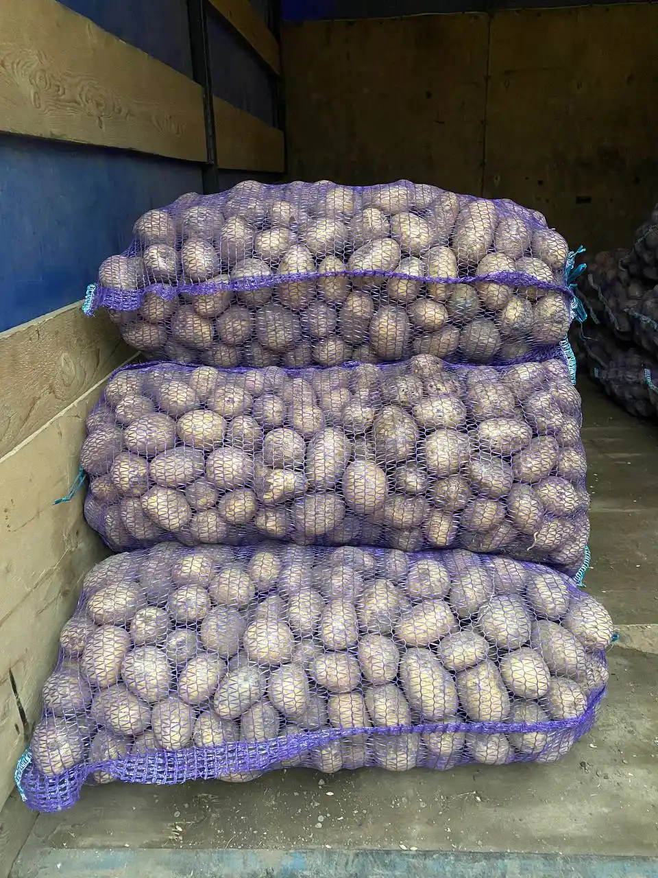 Продажа картофеля сорта Галла - Для дома и дачи в Чебоксары