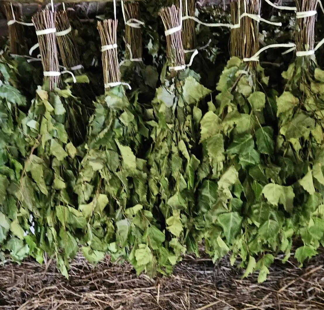 Продажа дубовых и берёзовых веников и мёда