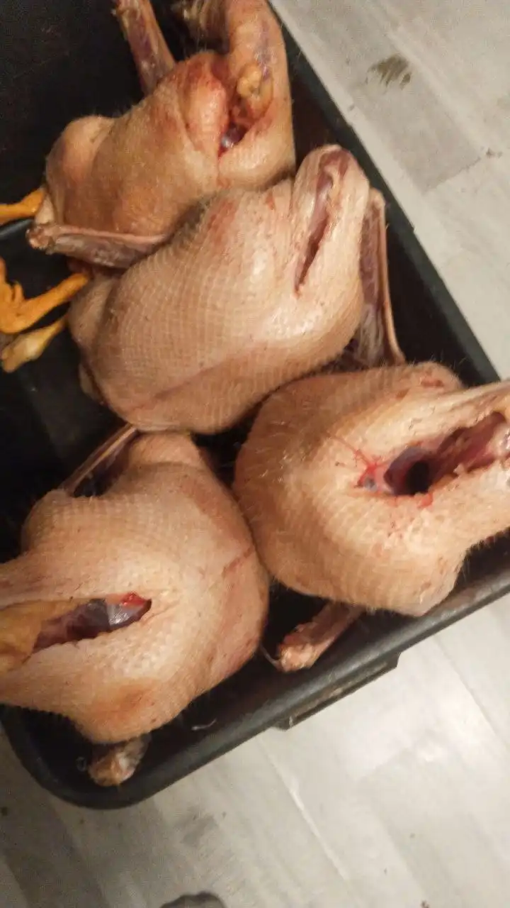 Продажа мяса гусей тушка