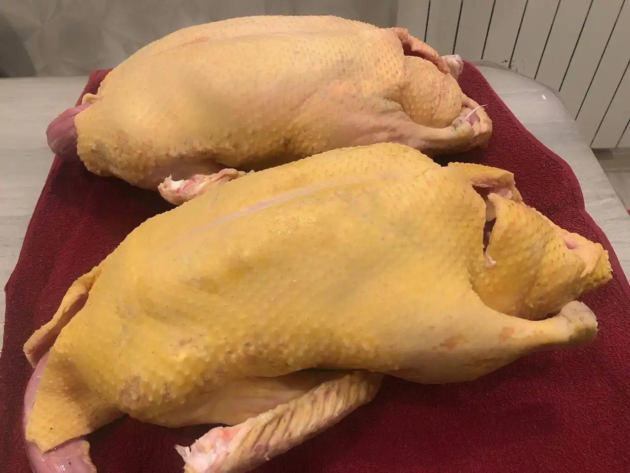 Продажа мяса индоутки с свободного выгула