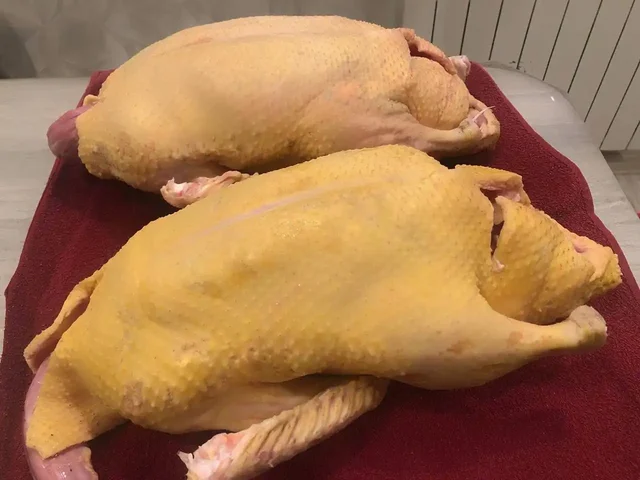 Продажа мяса индоутки с свободного выгула - Хобби и отдых в Чебоксары