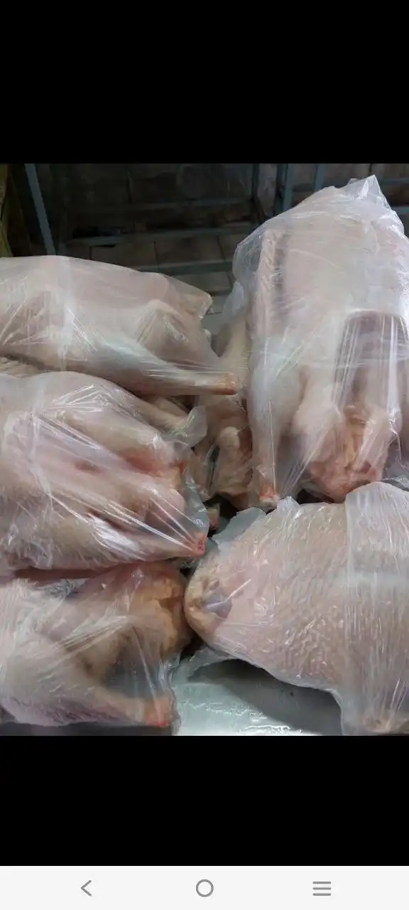 Продажа тушек и копченых гусей