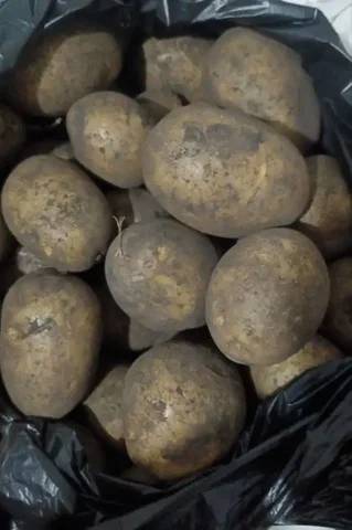Домашний картофель - Инструменты в Чебоксары