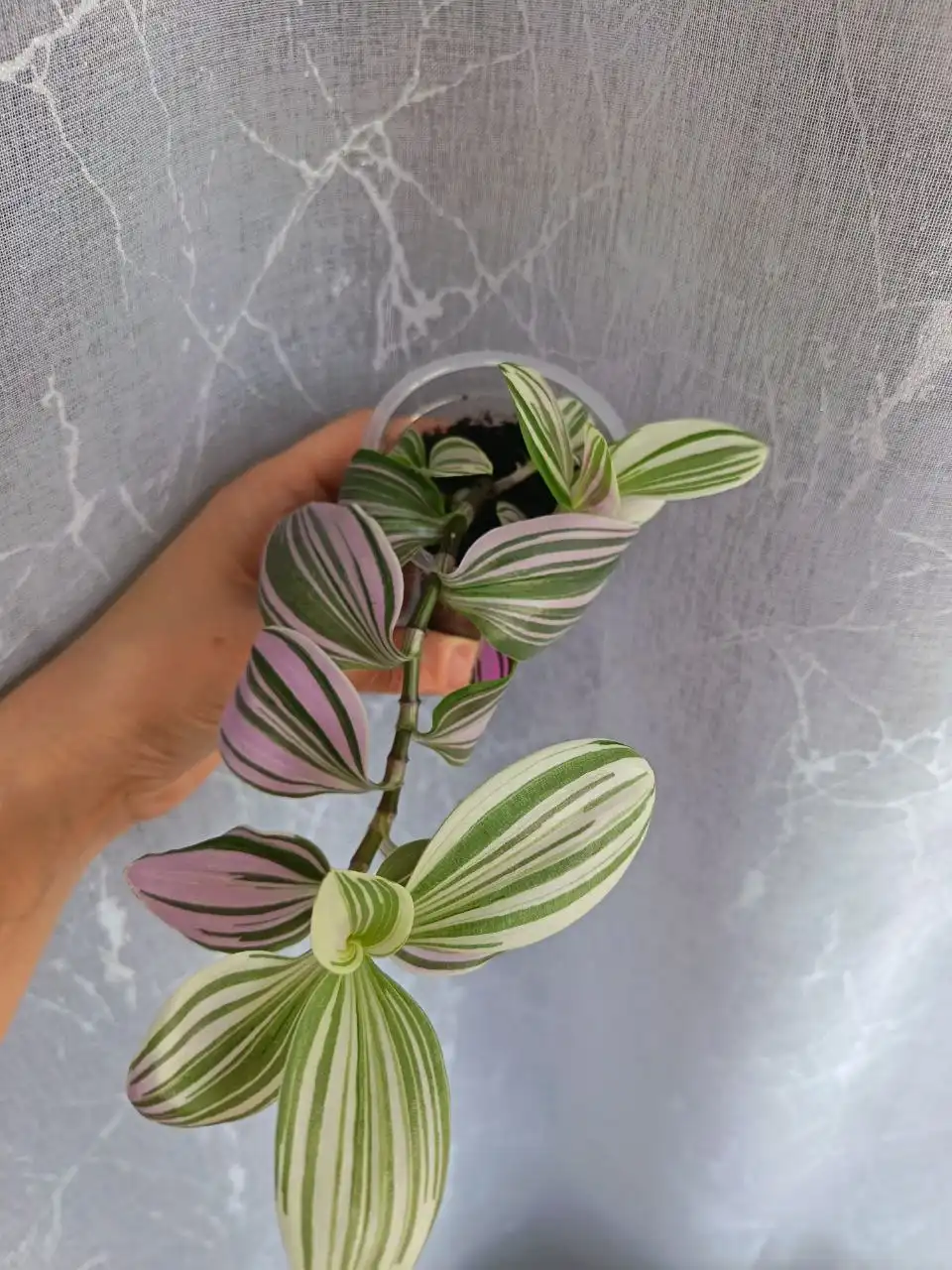 Продажа товара через Барахолку Чебоксары