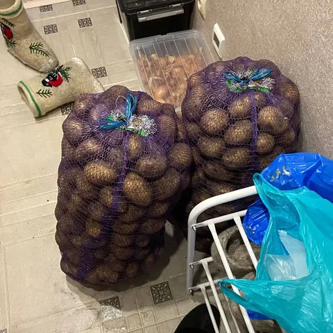 Домашний картофель крупный без проволочника - Разное в Чебоксары