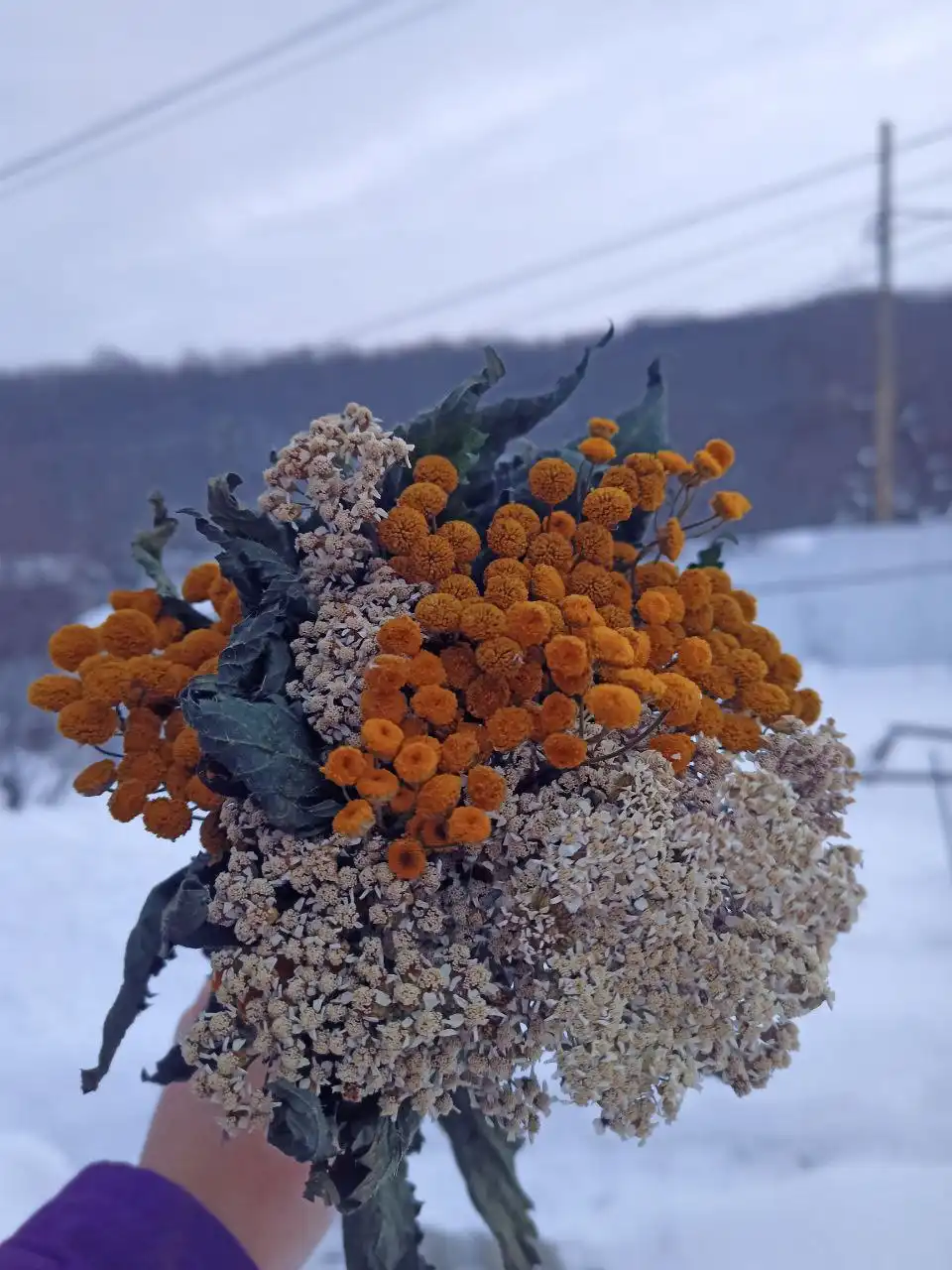 Травяные веники для бани - Банные принадлежности (Хобби и отдых) в Чебоксары