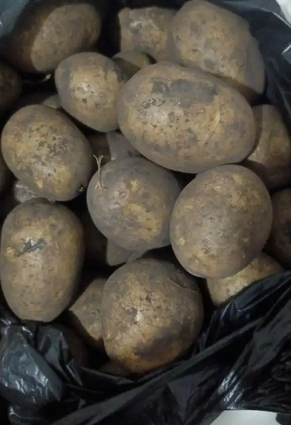 Домашний картофель в Чебоксарах - Продукты питания (Барахолка) в Чебоксары
