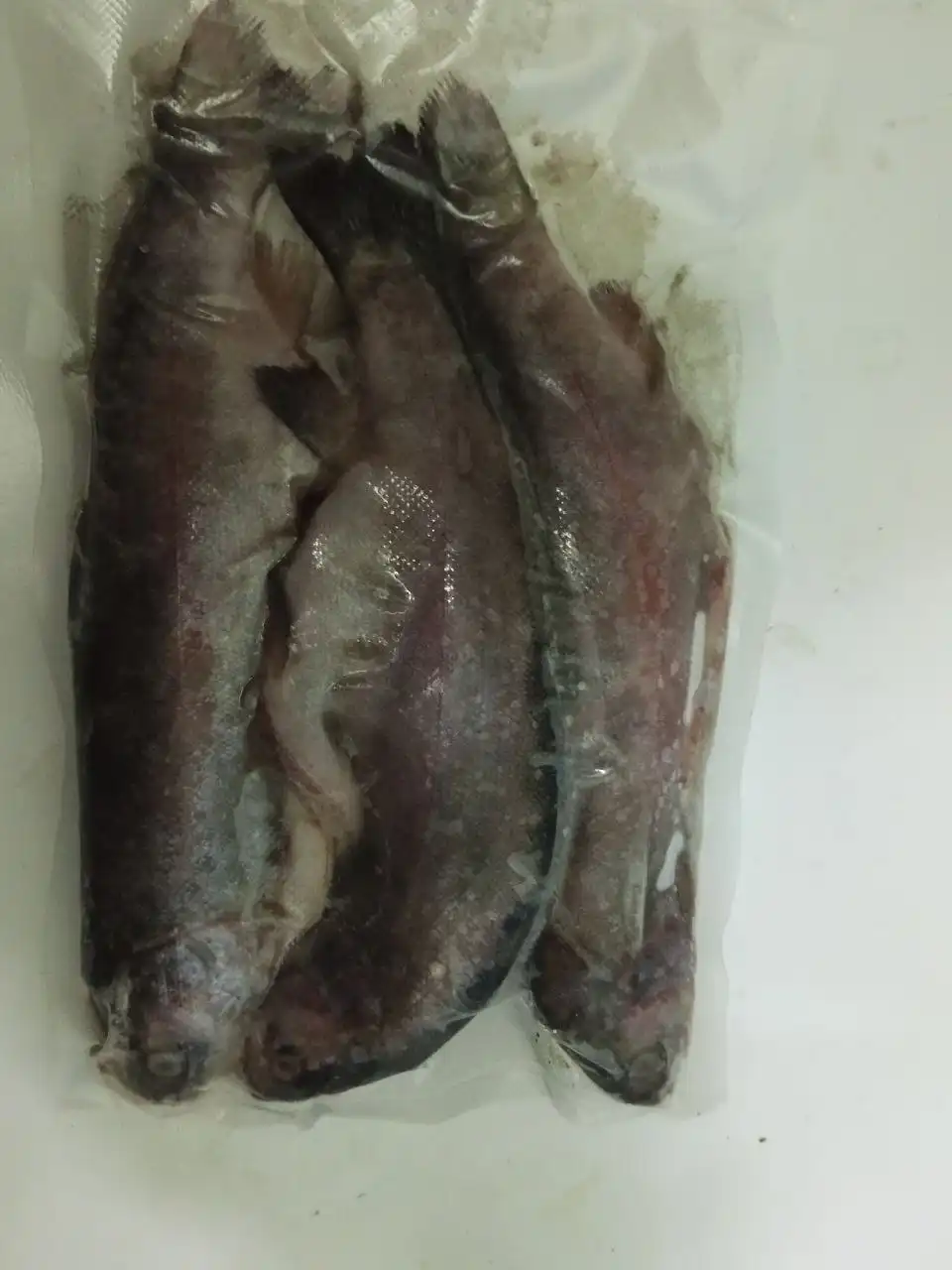 Продажа свежей и слабосоленой форели - Продукты питания (Барахолка) в Чебоксары