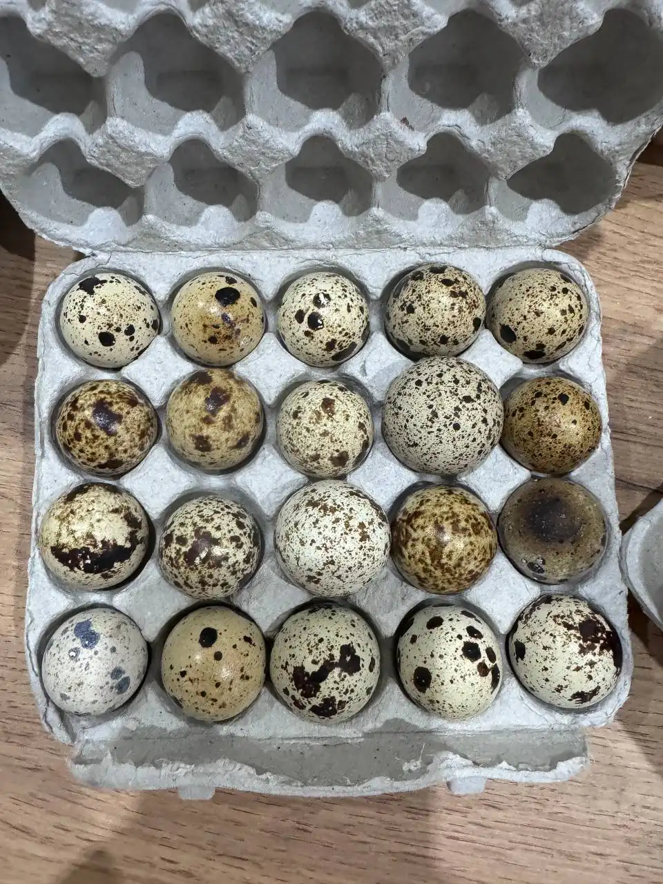 Продажа перепелиных яиц - Продукты питания (Барахолка) в Чебоксары