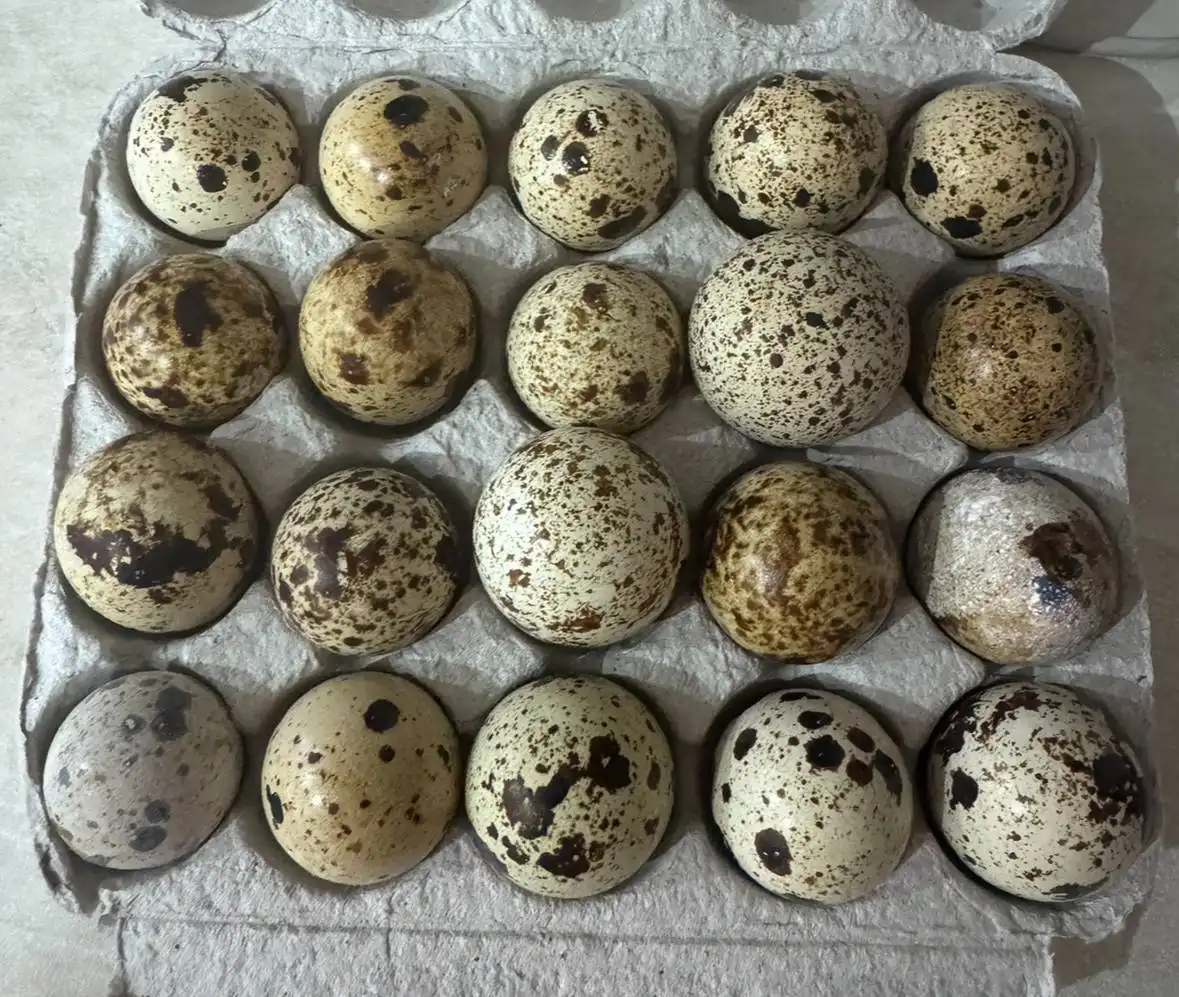 Продажа товаров из барахолки Чебоксары - Барахолка в Чебоксары