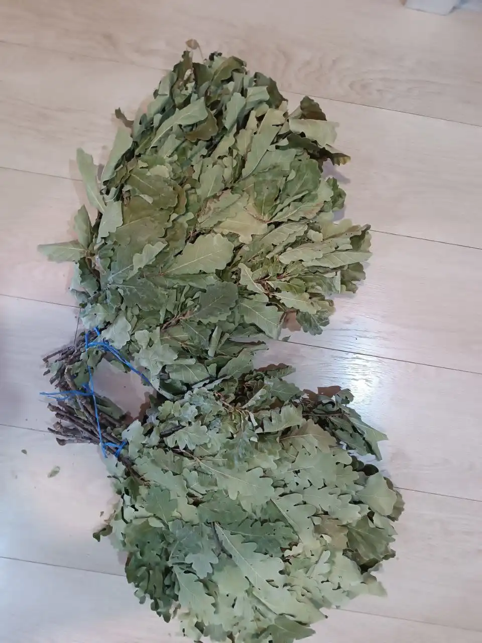 Веники для бани из березы и дуба - Товары для бани (Барахолка) в Чебоксары