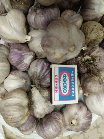 Чеснок деревенский - Паллеты в Чебоксары