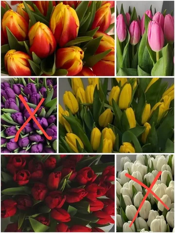 Предзаказ цветов и букетов от флориста - Ледянки в Чебоксары