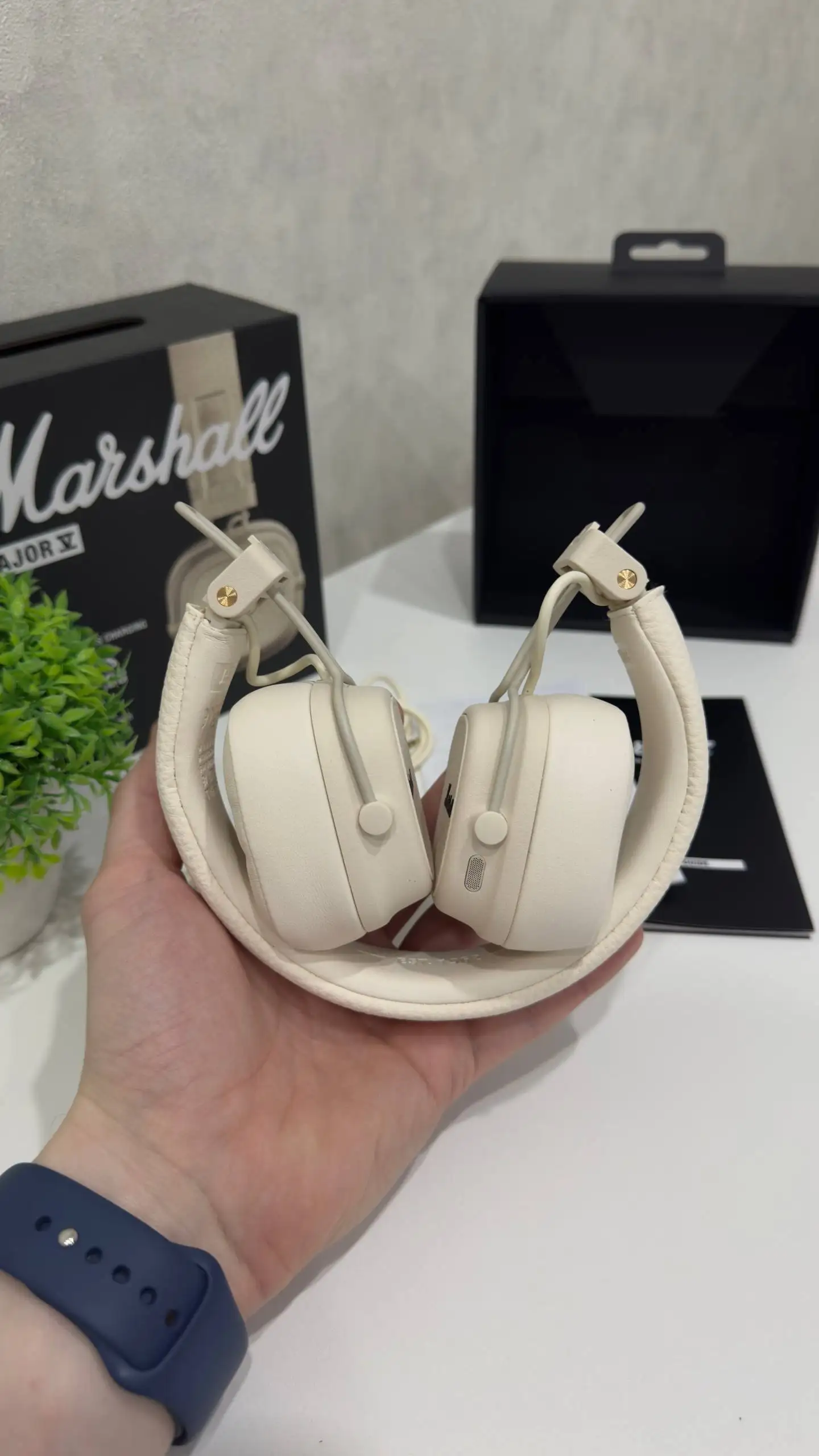 Наушники Marshall Major V - Наушники (Электроника) в Чебоксары