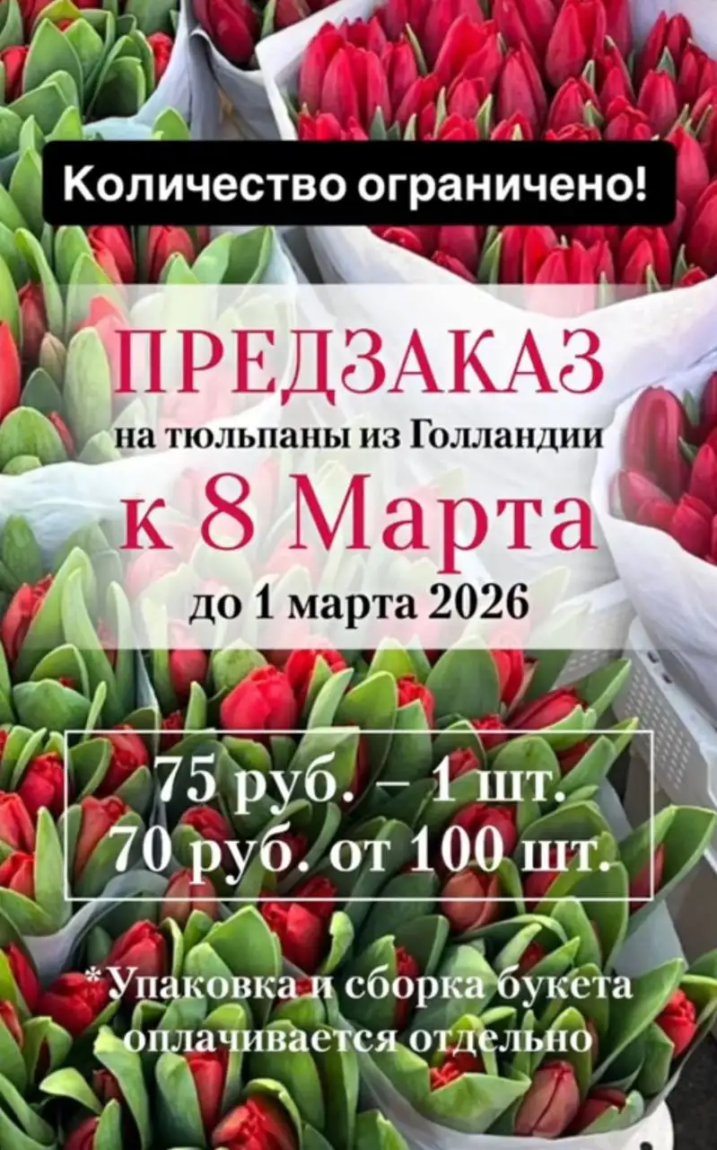 Тюльпаны в Чебоксарах - Цветы/Растения (Хобби и отдых) в Чебоксары
