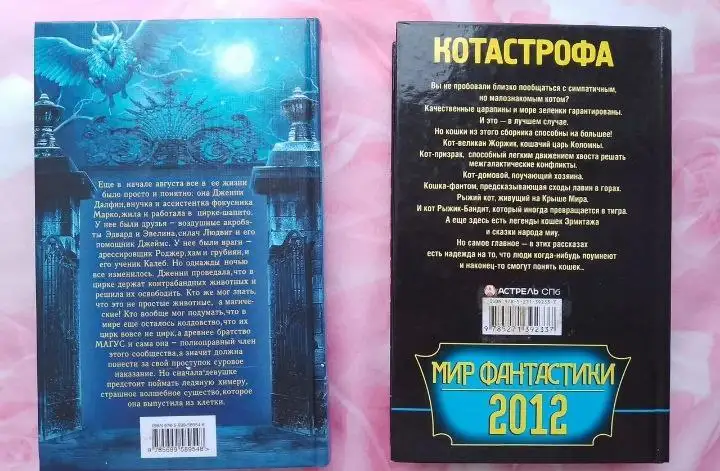 Продажа книг "Дженни Далфин и скрытые земли" и "Книга котастрофа" - Книги (Барахолка) в Чебоксары