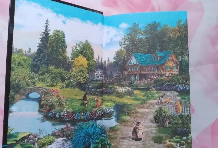 Продажа книг "Дженни Далфин и скрытые земли" и "Книга котастрофа" - Книги (Барахолка) в Чебоксары