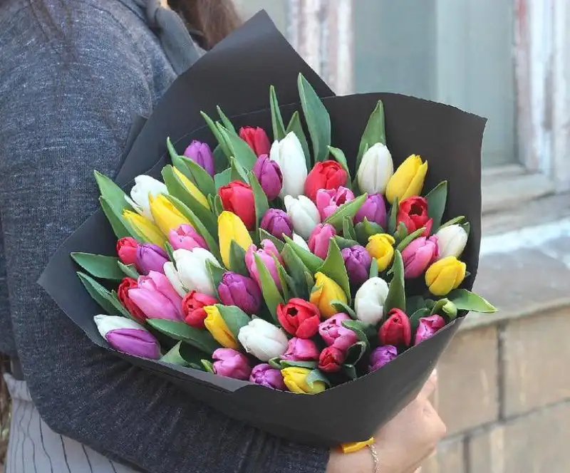 Свежие тюльпаны к 8 марта - Цветы (Барахолка) в Чебоксары
