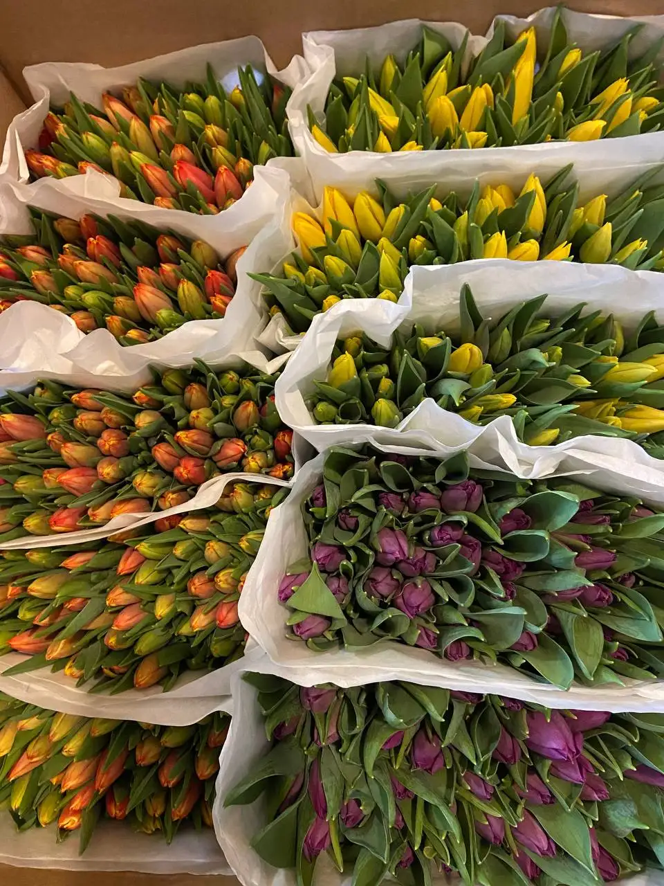 Объявление о продаже в Барахолке Чебоксары - Барахолка в Чебоксары