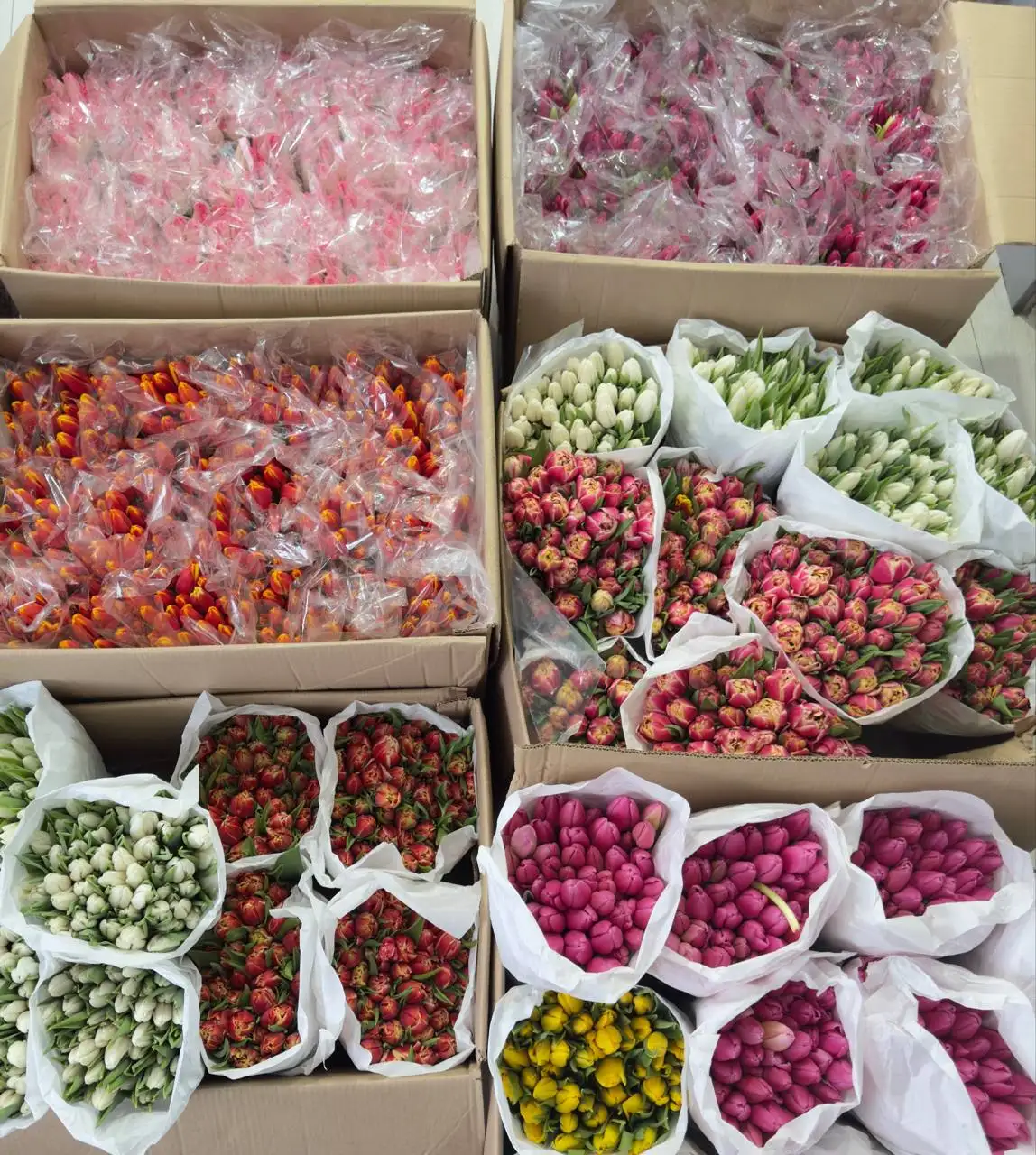 Специальное предложение на товар до 8 марта - Барахолка в Чебоксары