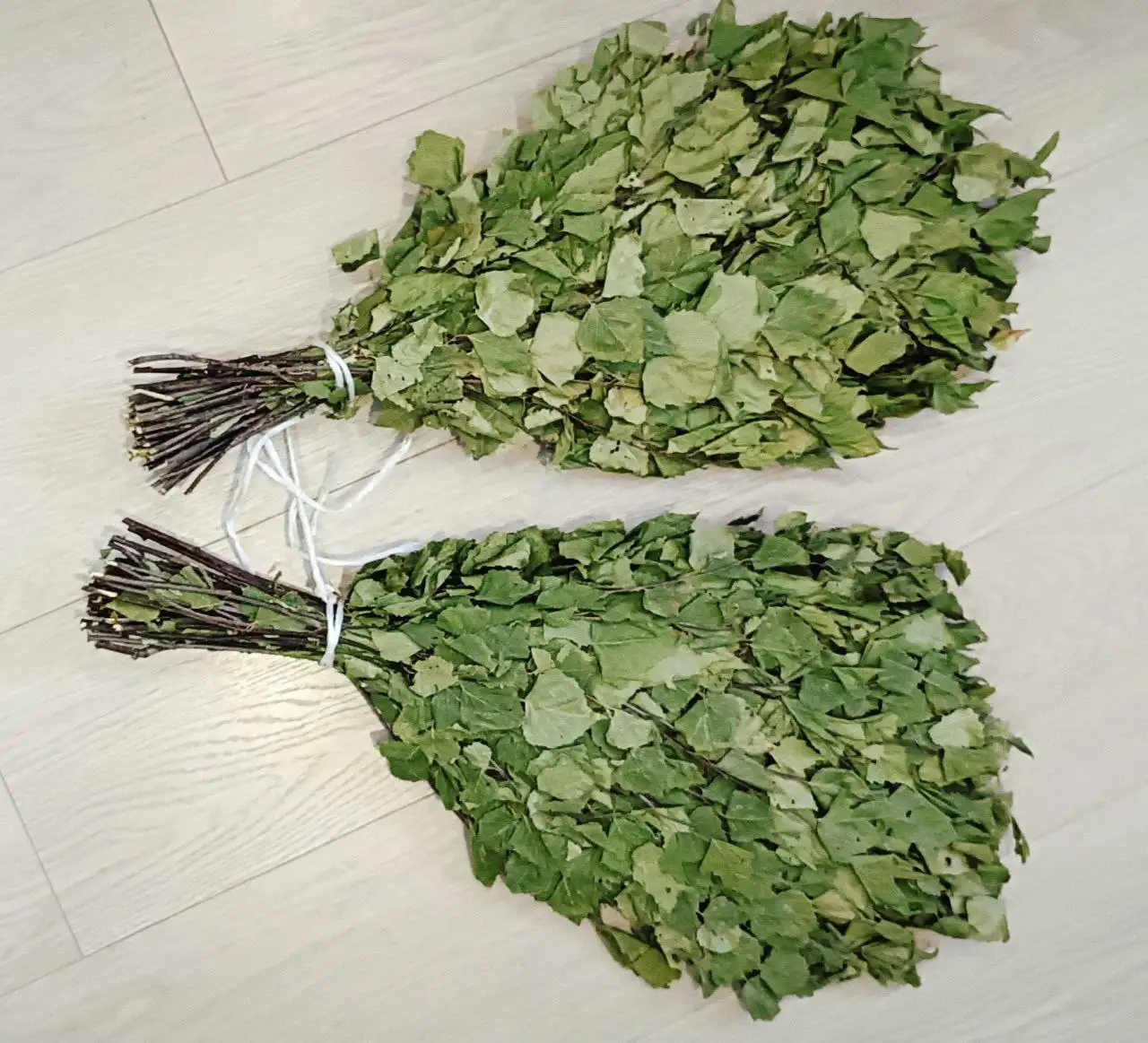 Веники банные из дуба и березы - Банные принадлежности (Хобби и отдых) в Чебоксары