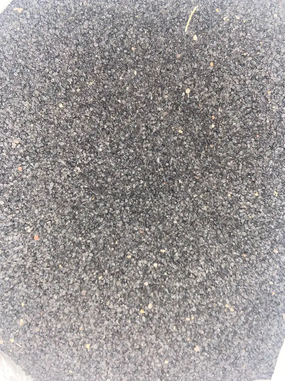 Продажа лука севка и семян лука чернушки - Сад и огород (Барахолка) в Чебоксары