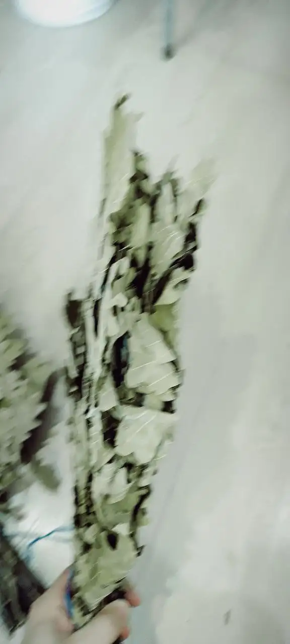 Веники дубовые ароматные - Товары для бани (Барахолка) в Чебоксары