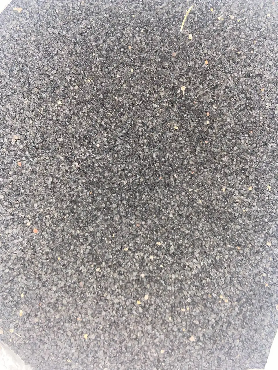 Продажа лука севка и семян лука чернушки - Сад и огород (Хобби и отдых) в Чебоксары