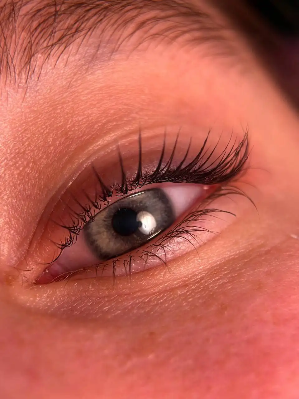 Ламинирование ресниц и оформление бровей - Красота (Услуги) в Чебоксары