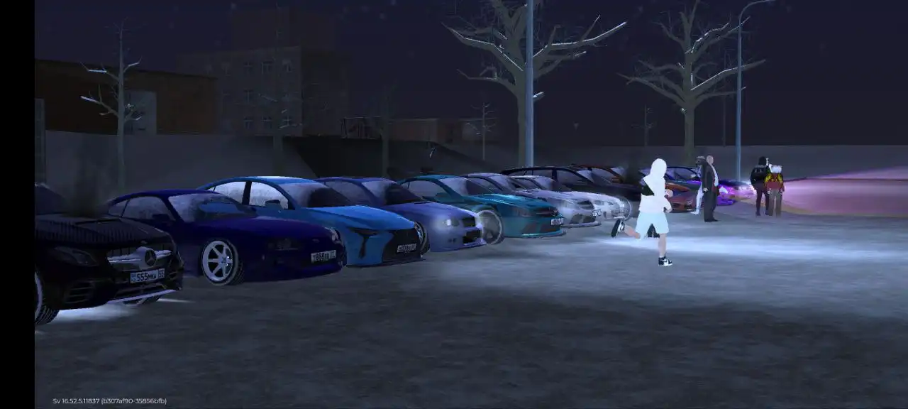 Сообщение о сходке в Братске