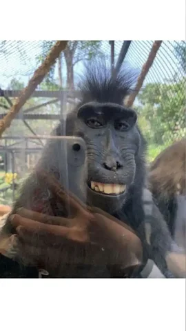 Продажа игровых аккаунтов в Братске - Ручная работа в Братск