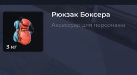 Продам рюкзак боксера - Спортивные товары в Братск