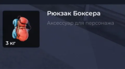 Продам рюкзак боксера - Спортивные товары в Братск